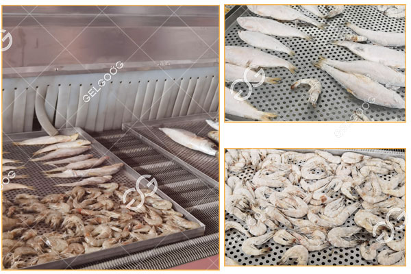 detalles-de-la-maquina-iqf-para-mariscos