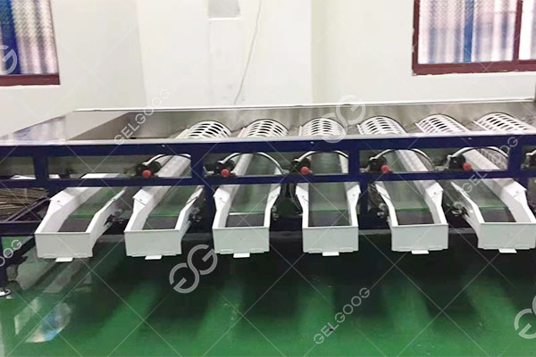 máquina clasificadora de cítricos