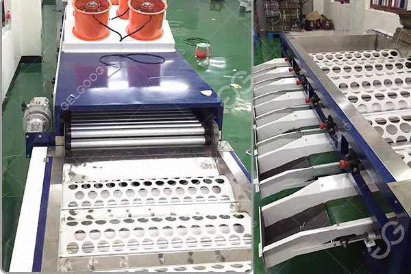 máquina clasificadora de aguacates en venta