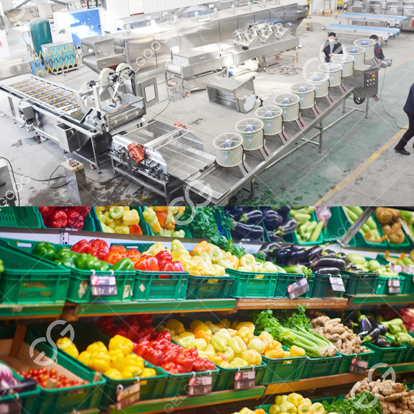 Costo de la línea de procesamiento de vegetales con pretratamiento