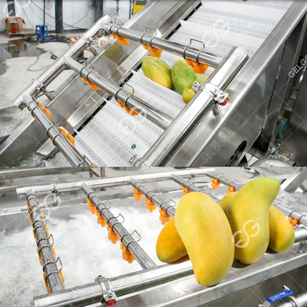 negocio de procesamiento de mango