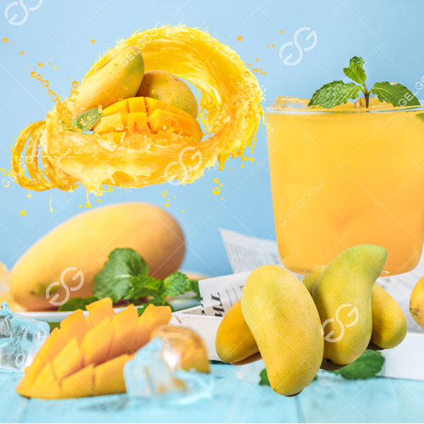 negocio de procesamiento de mango