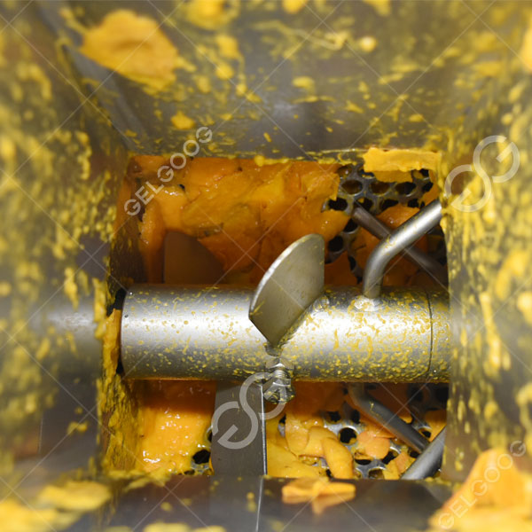 Máquina automática para despulpar mangos y frutas