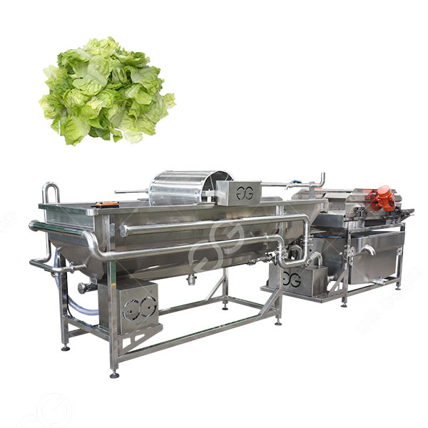 Lavadora de repollo vegetal para procesar ensaladas