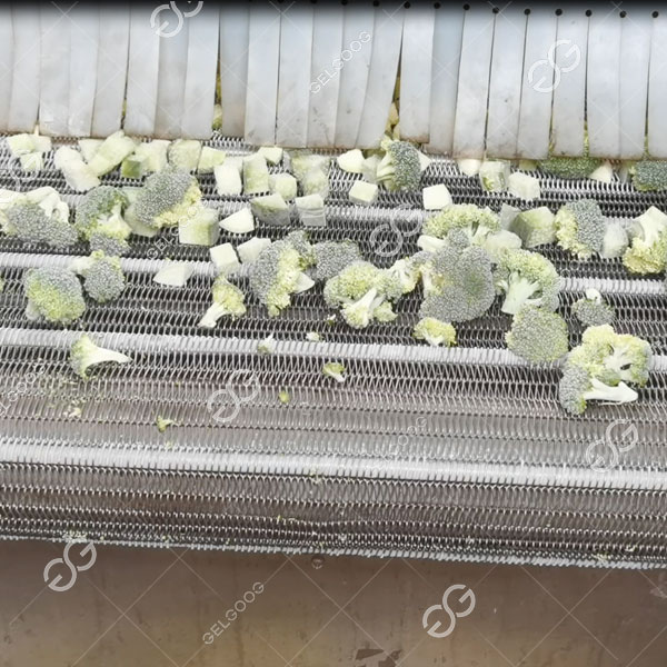 Aplicación de congelador de lecho fluidizado.jpg