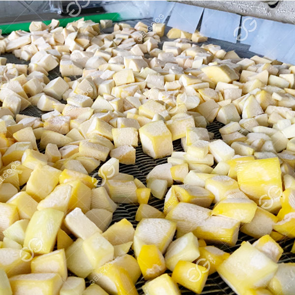 Aplicación para congelar frutas.jpg