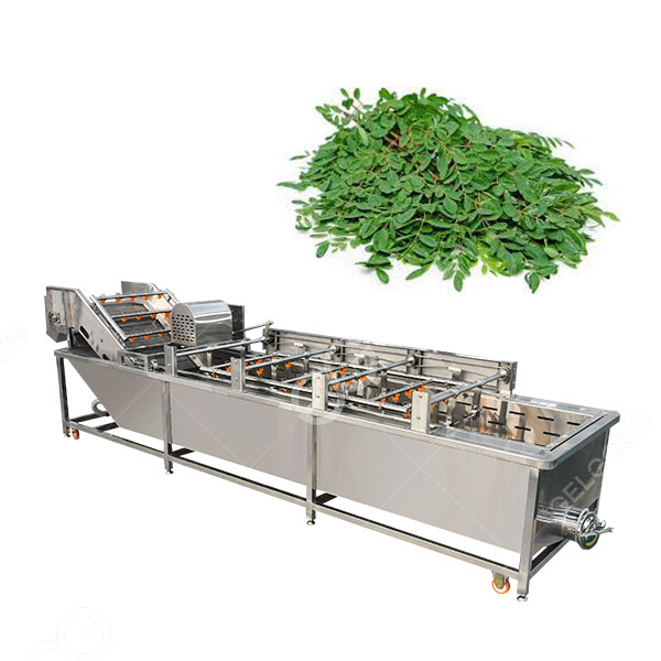 Lavadora de hojas de moringa.jpg