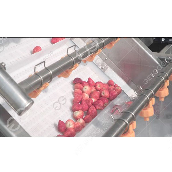 lavadora-de-frutas-con-ozono1.jpg