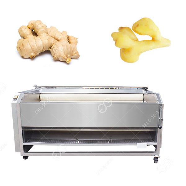 Precio de la máquina peladora y lavadora de jengibre de acero inoxidable