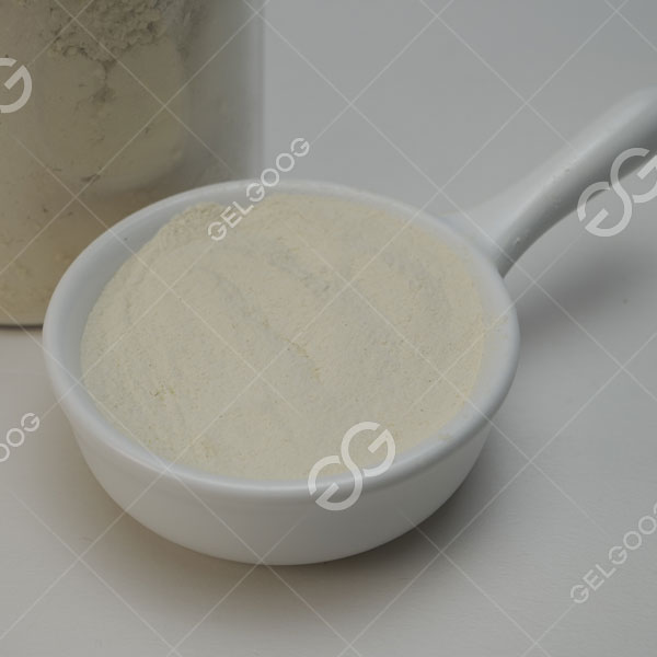 Planta de procesamiento de producción de ajo en polvo llave en mano