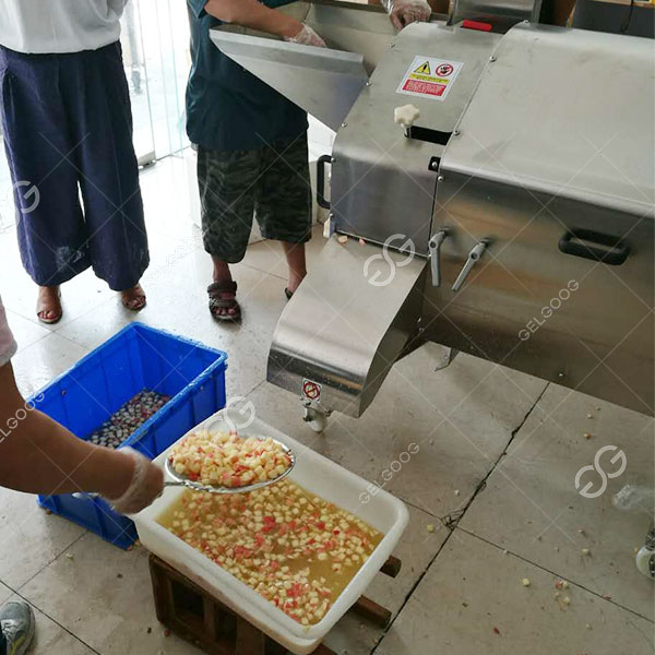 Maquina cortadora de cebollas electrica