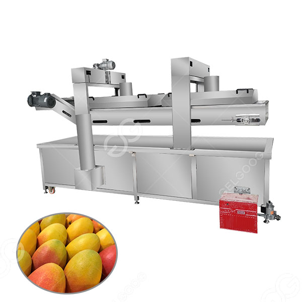 Beneficios de la máquina para blanquear mangos1.jpg