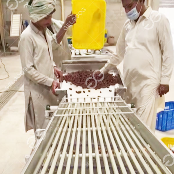 Al asociarse con Pakistan INDUS Company, GELGOOG se basará en la innovación tecnológica para potenciar los campos de la tecnología de procesamiento profundo de dátiles.