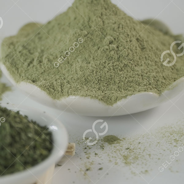 Máquina para fabricar y procesar polvo de hojas de moringa