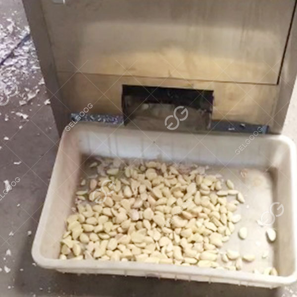 Maquina para quitar la piel del ajo eléctrica