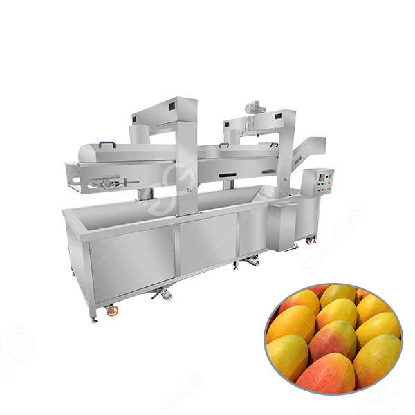 precio de la maquina para blanquear mangos