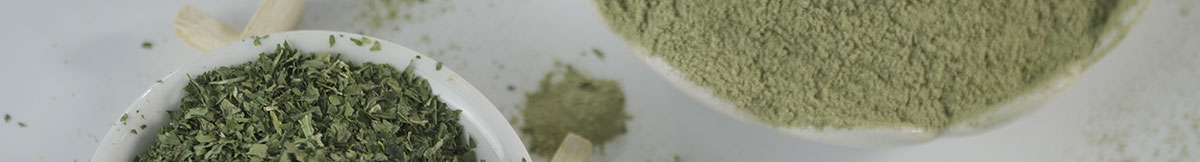 Máquina para fabricar y procesar polvo de hojas de moringa