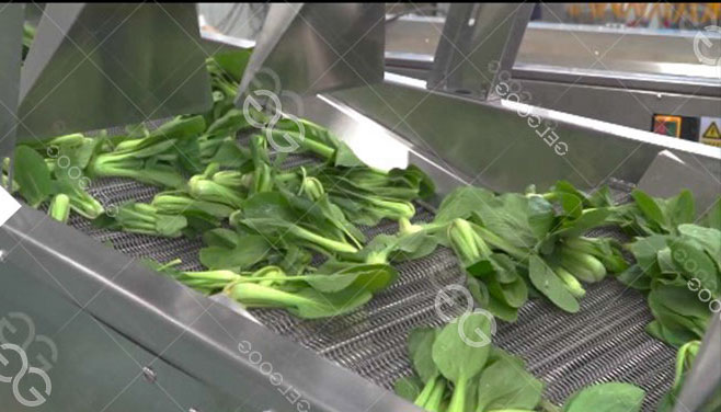 Fácil de ajustar mecánicamente