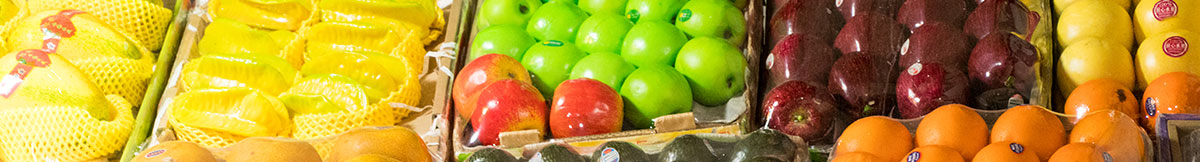 Sistema de lavado, encerado y clasificación de líneas de procesamiento de frutas 