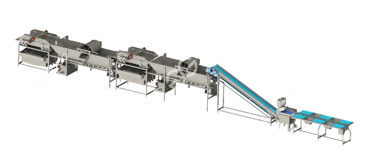 Línea de procesamiento de ensaladas