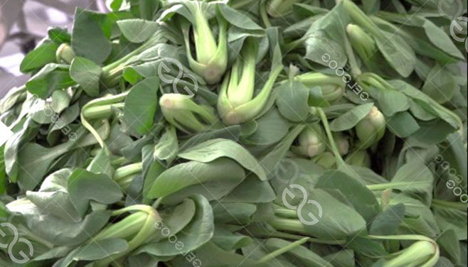 Producto terminado de alta calidad