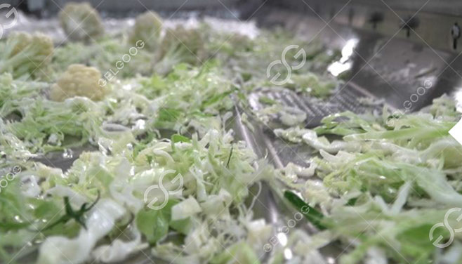 Esterilizado y desinfectado