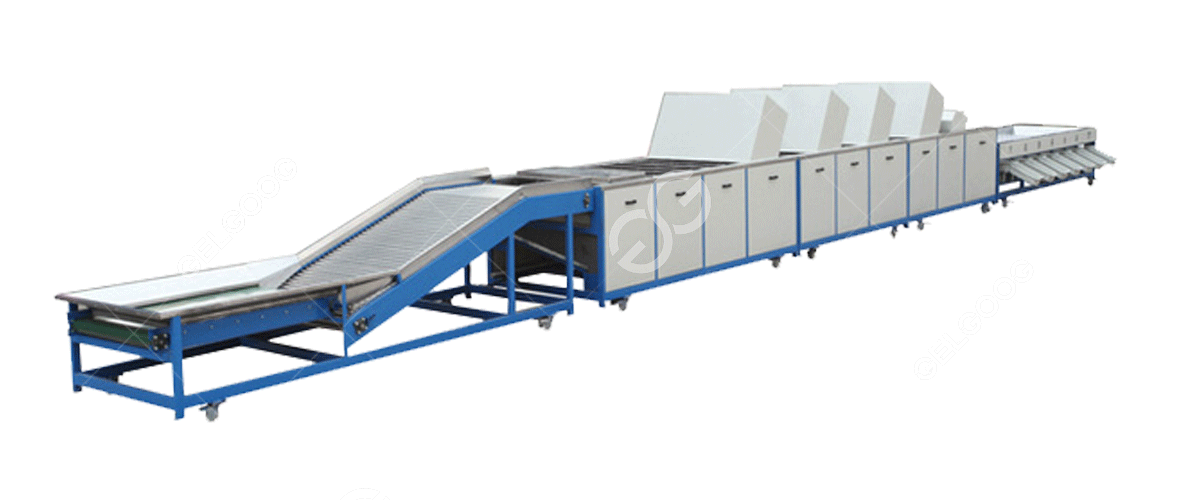 Línea de lavado y encerado de frutas