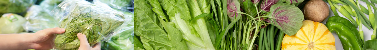 Línea de procesamiento de vegetales con lavado, secado y envasado