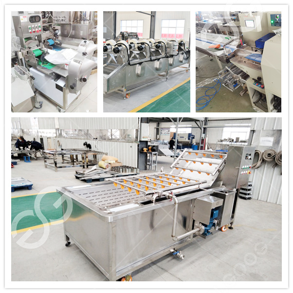 En septiembre se entregará la línea de producción de procesamiento de frutas y verduras construida conjuntamente por Gelgoog y Zambia WI Company, con el fin de promover el proceso de industrialización de su limpieza, secado al aire, corte, congelación rápida, envasado y otros procesos de frutas y verduras.