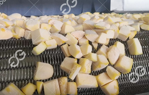 Plan De Negocios Para Una Fábrica De Procesamiento De Frutas Congeladas
