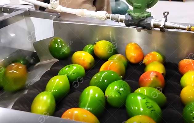 ¿Cómo Se Procesan Los Mangos?